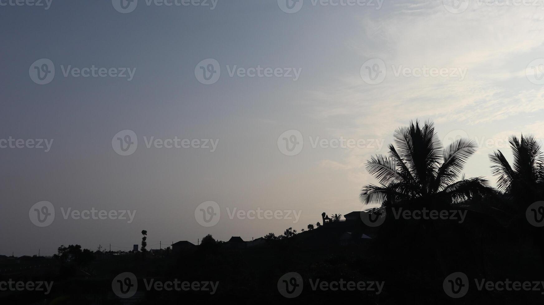 Silhouettes of forest trees with a sunrise sky background photo
