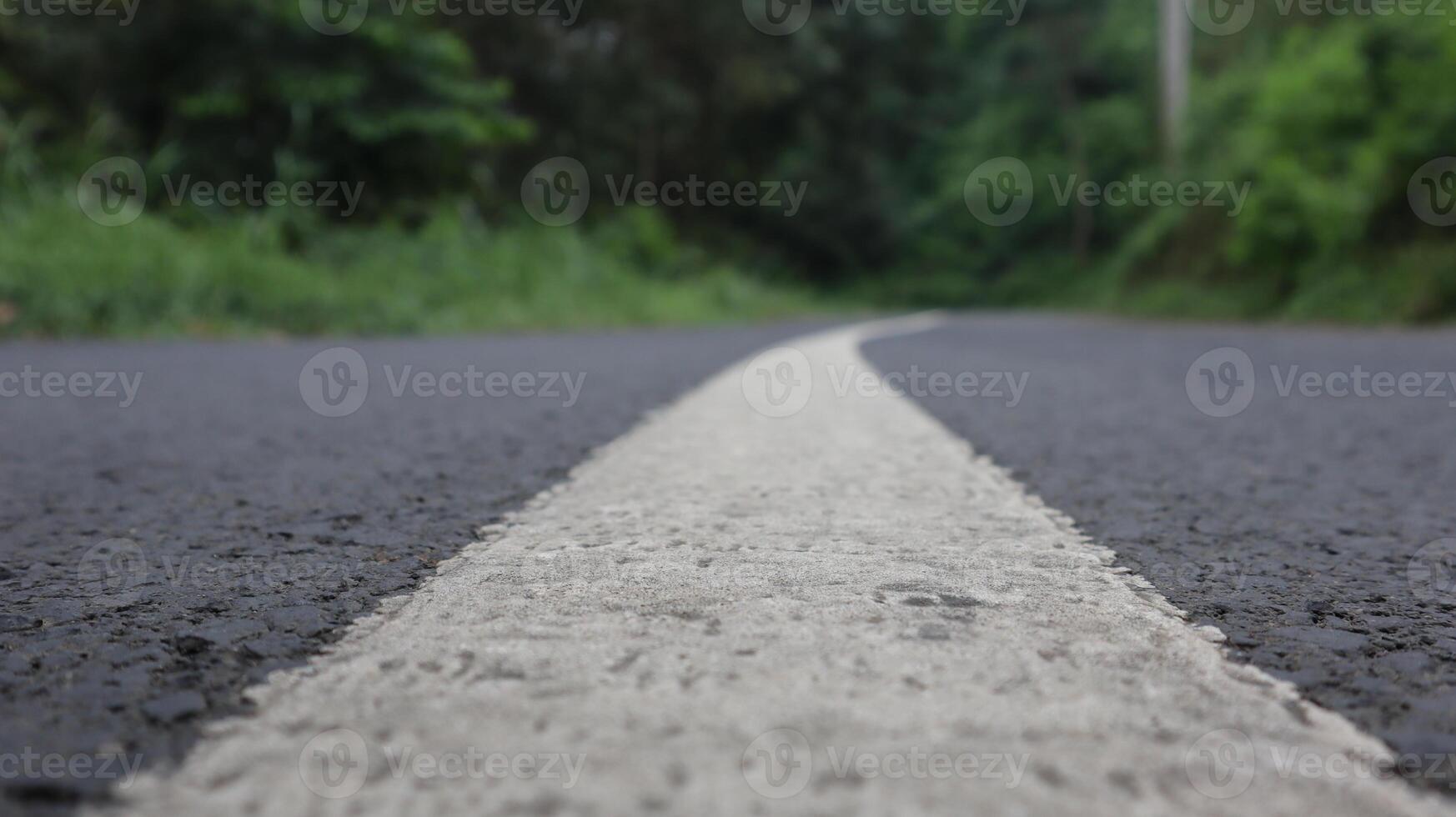 close up of the texture of a paved road in the middle of the forest photo