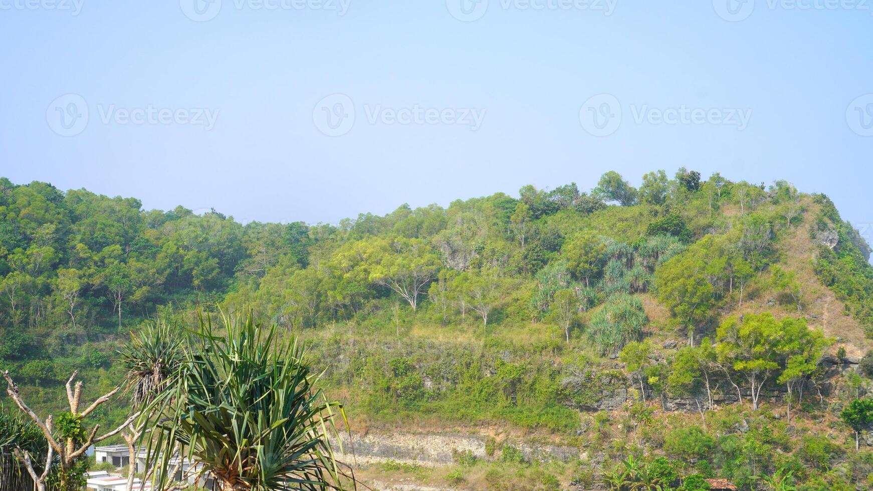 natural view of hills with lush green plants with bright blue skies photo