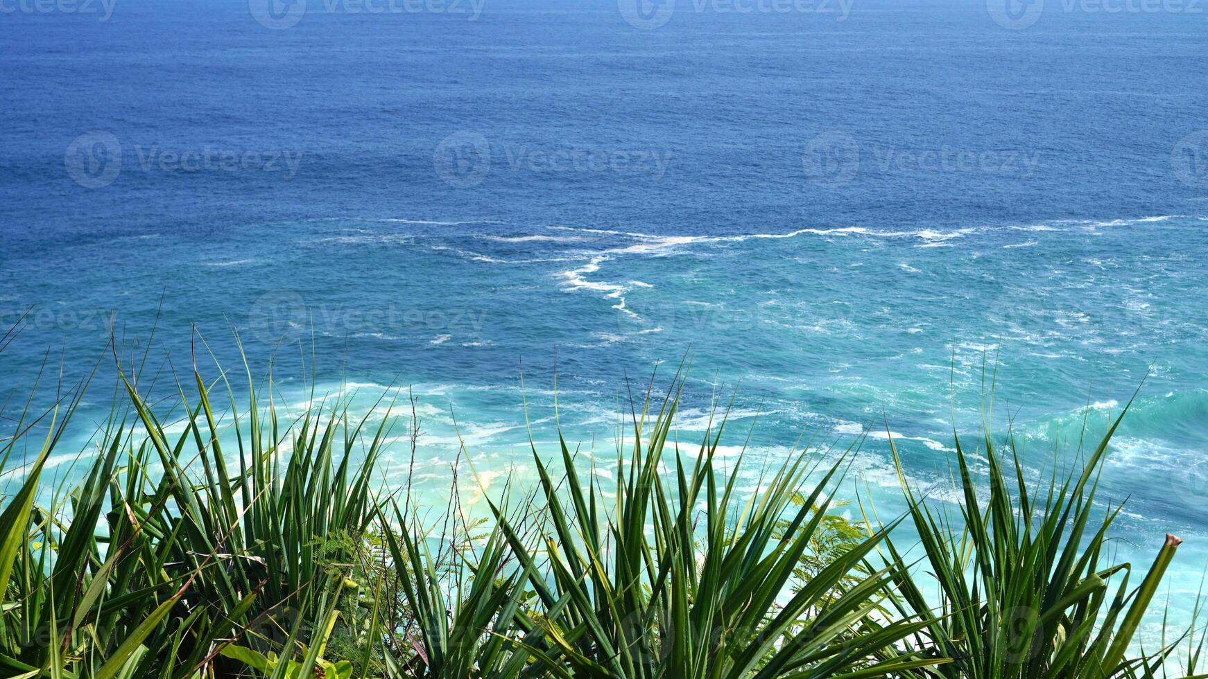 view of rolling waves and ocean from the top front view and surrounded by green plants. The beach is very beautiful. Idea as background, holiday, poster photo