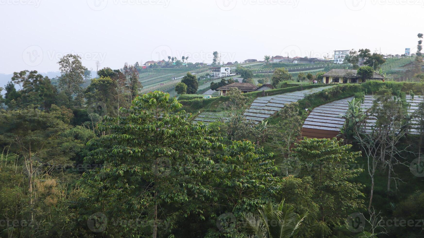a view of the houses from the hill. photo