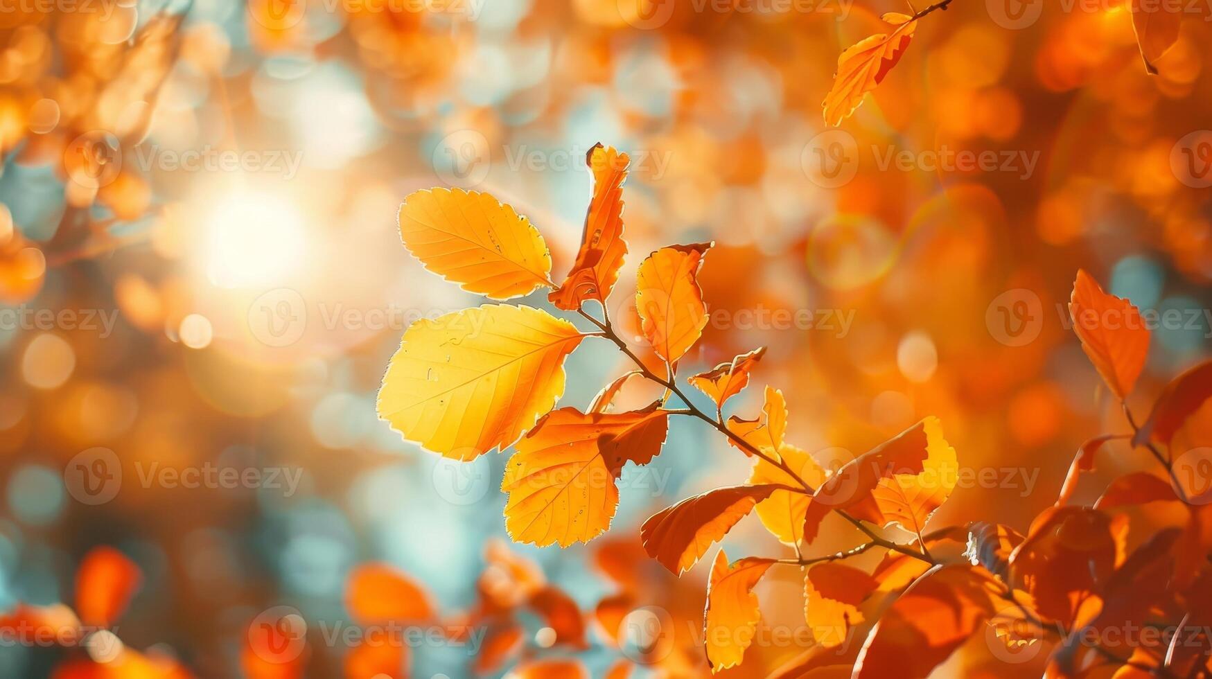 A leafy tree with a bright orange leaf in the foreground photo