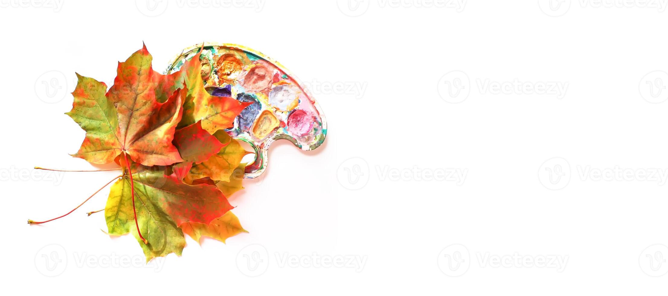 Colorful autumn maple leaves on palette photo
