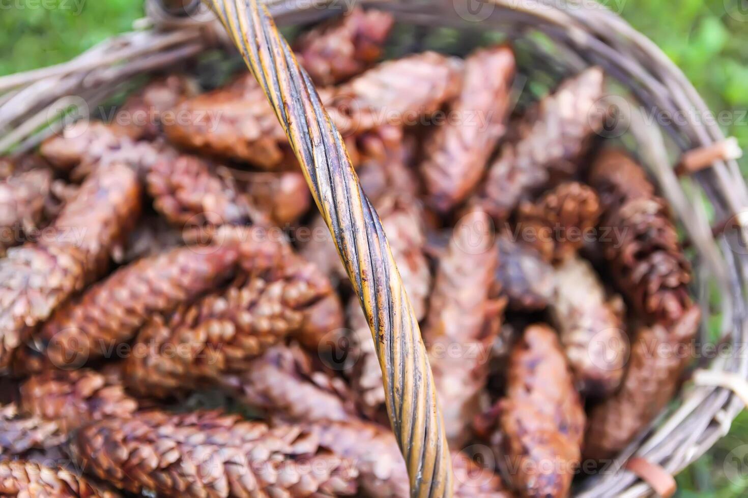 Fir tree cones in a wicker basket photo