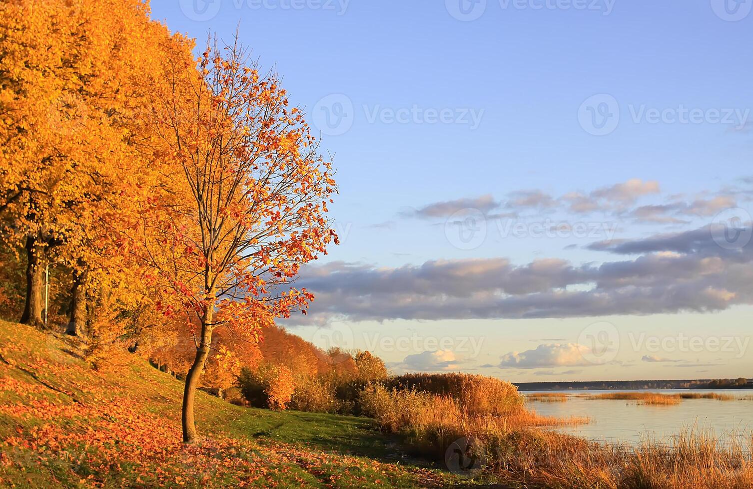 Park in Riga at autumn, Latvia, Europe. photo