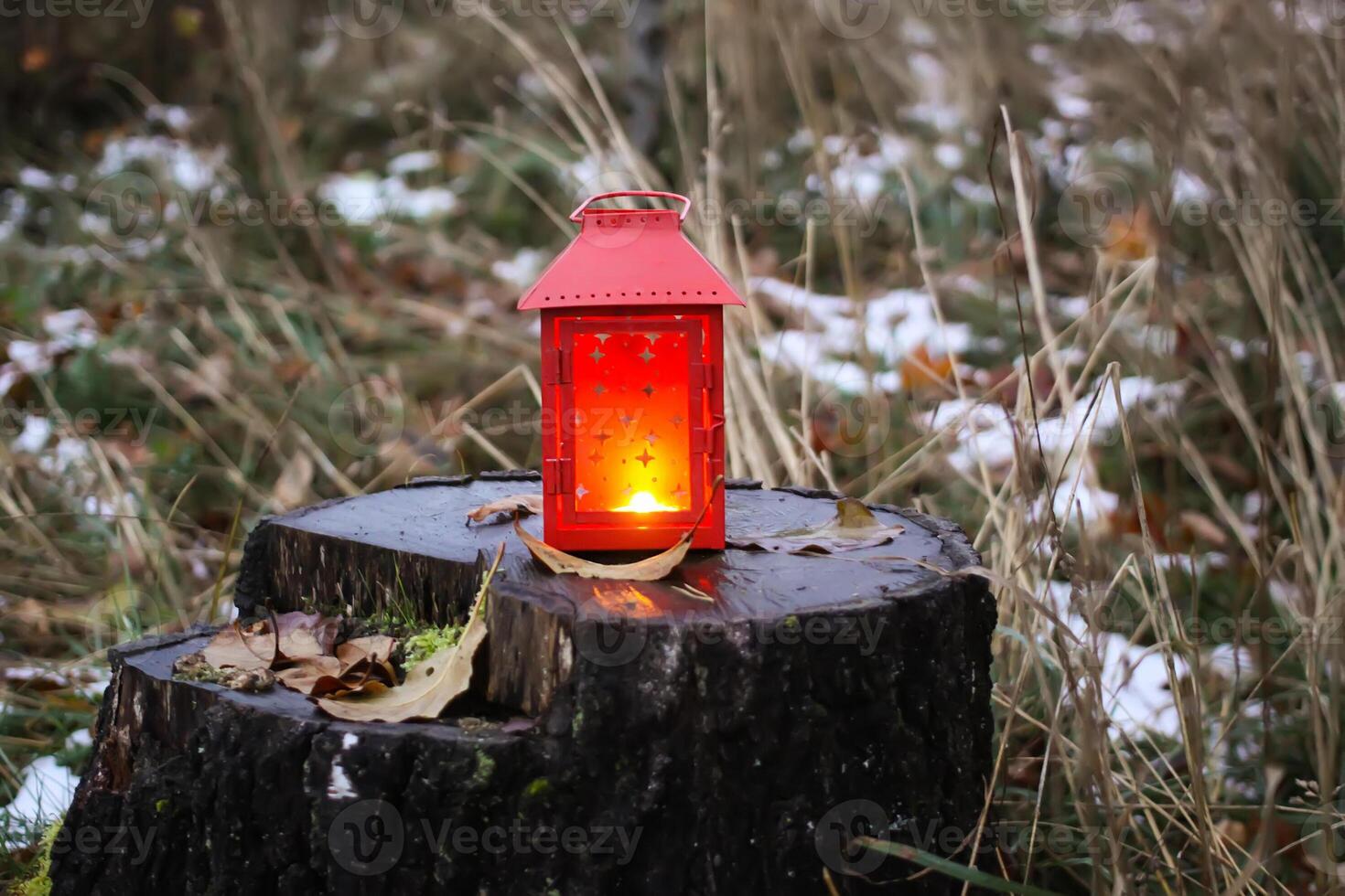 Decorative lantern with burning candle in autumn park at evening. photo