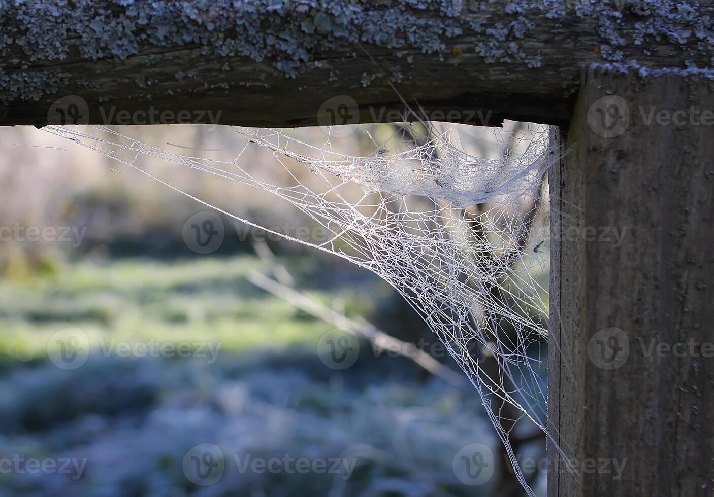 Spider web in the corner of an old wooden window in abandoned building photo