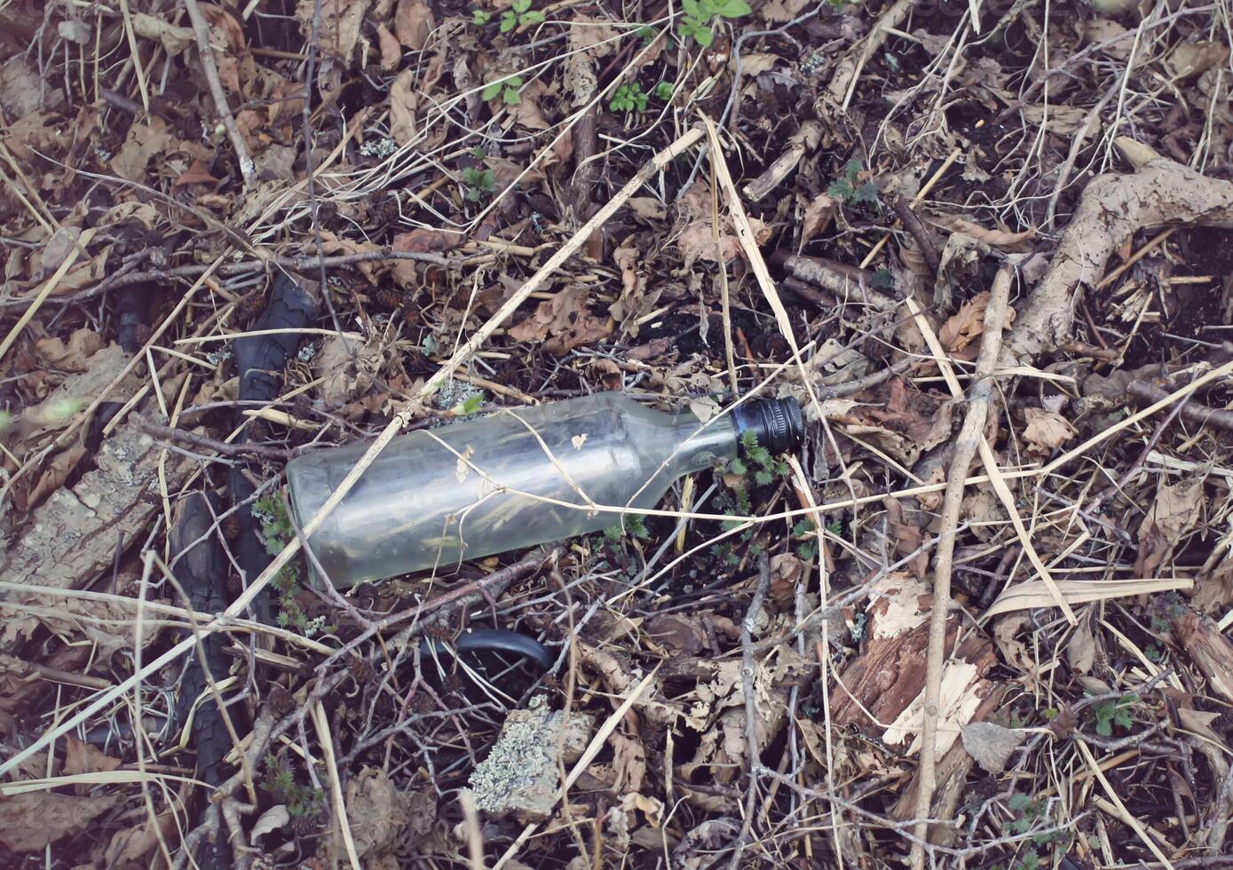 Plastic bottle in a forest photo