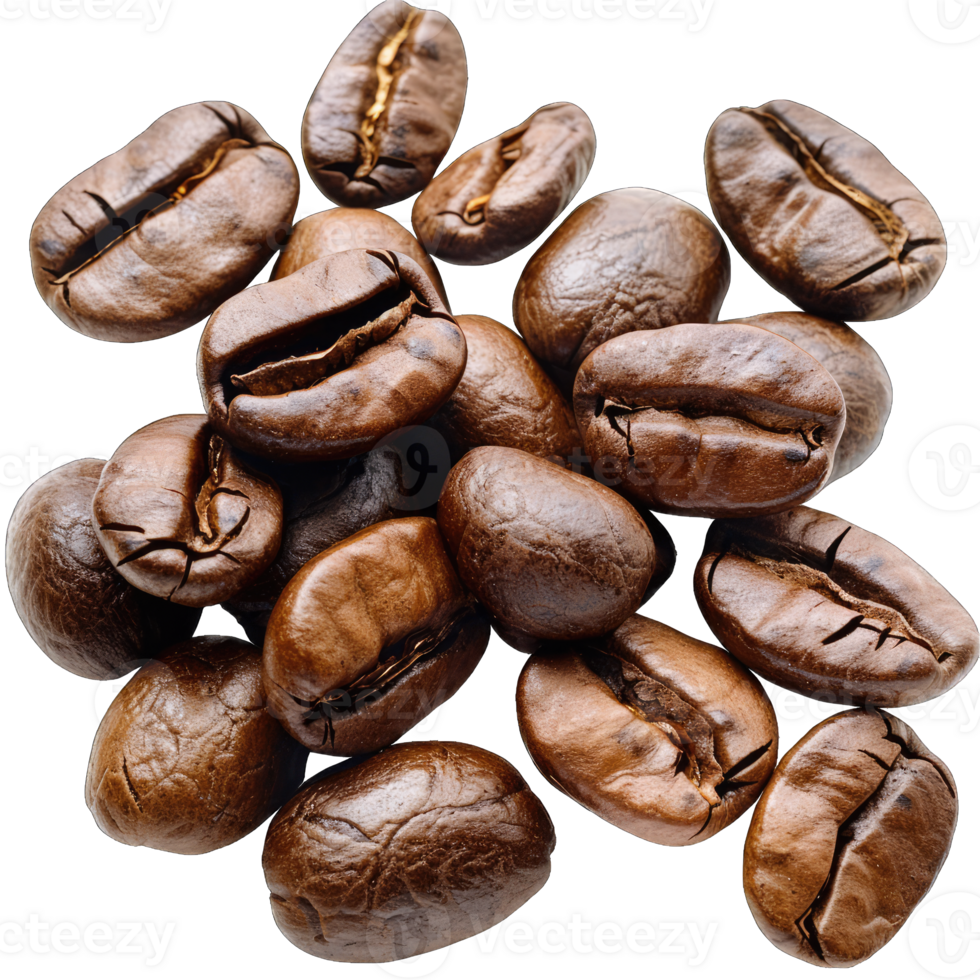 Coffee beans Isolated png