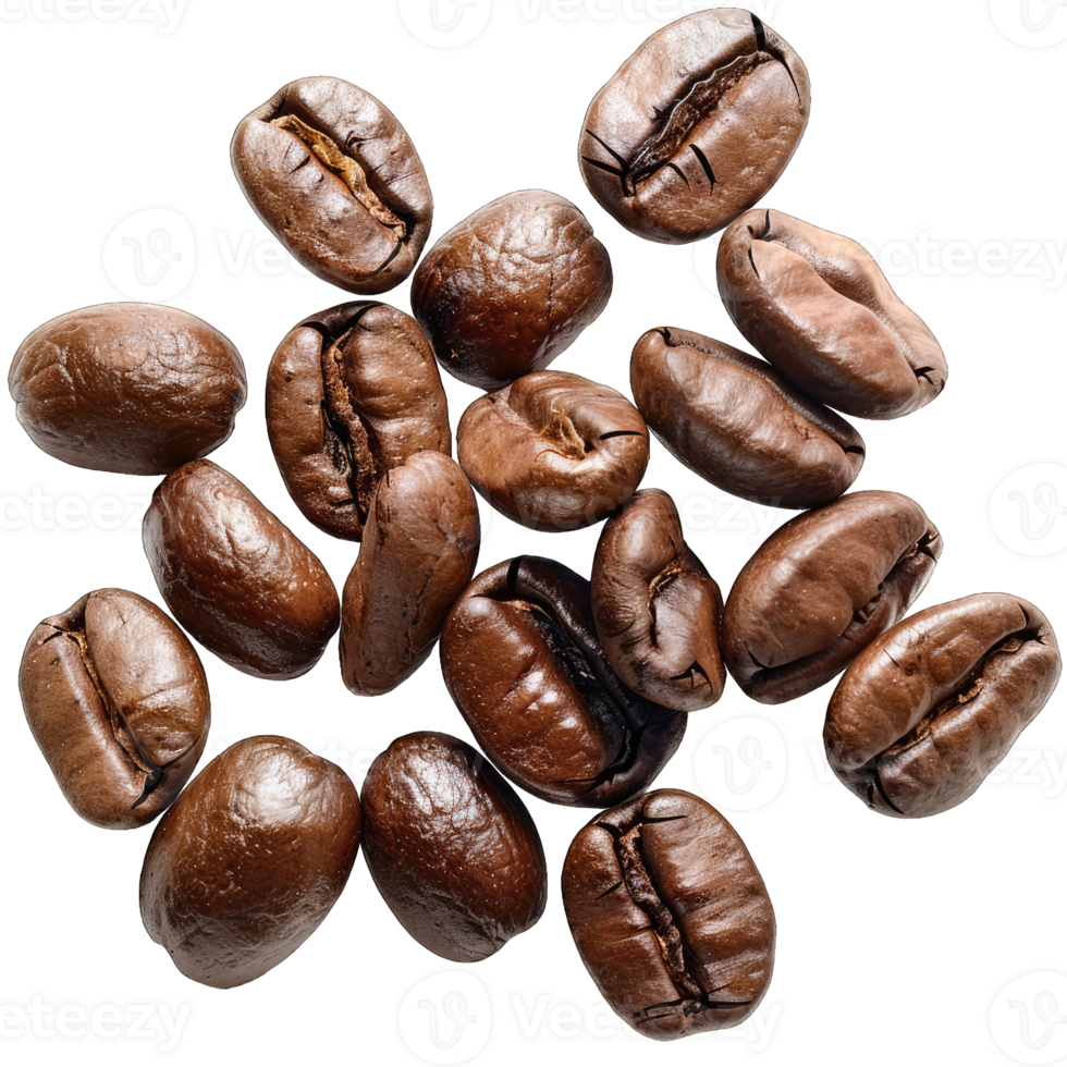 Coffee Beans and grounds isolated png