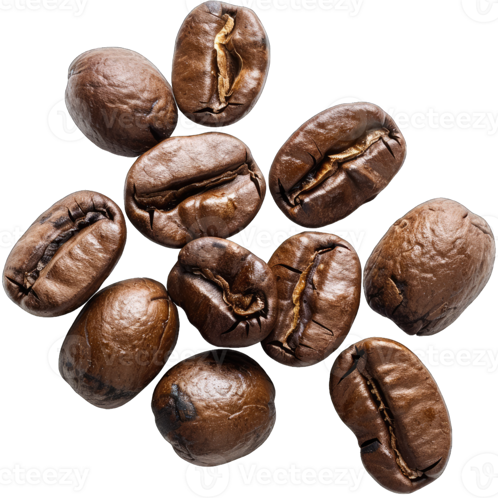 Coffee beans Isolated png