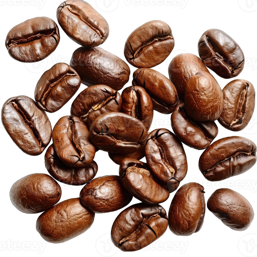 Coffee beans Isolated png