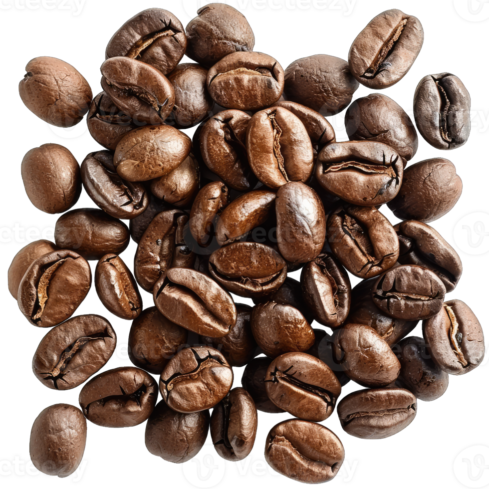 Coffee beans Isolated png