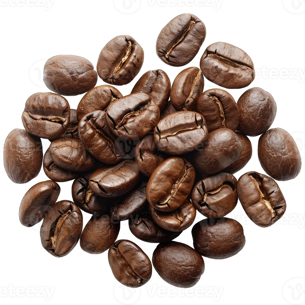 Coffee beans Isolated png