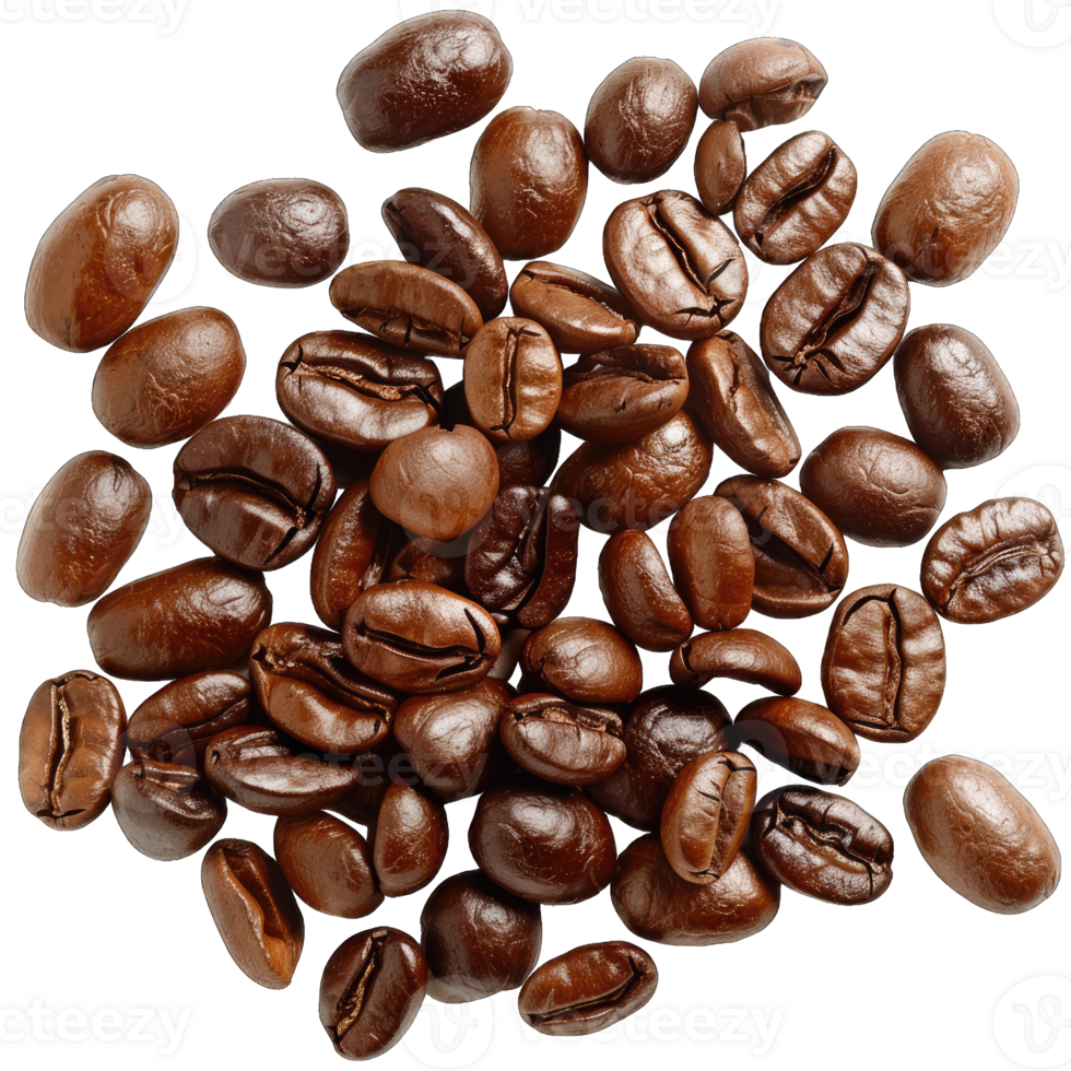 Coffee beans Isolated png