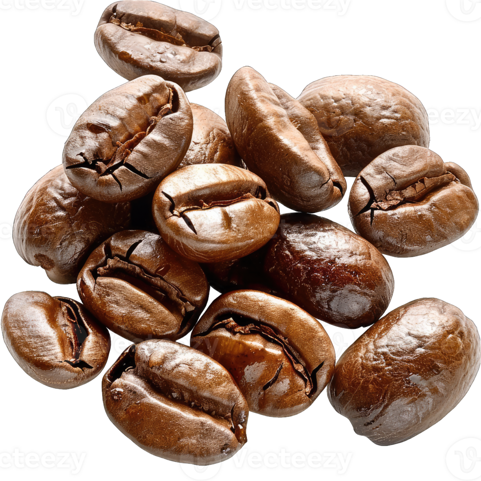 Coffee beans Isolated png