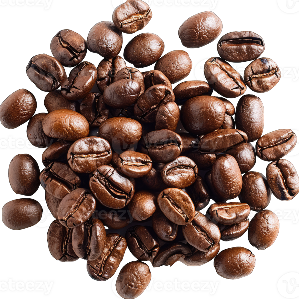 Coffee beans Isolated png