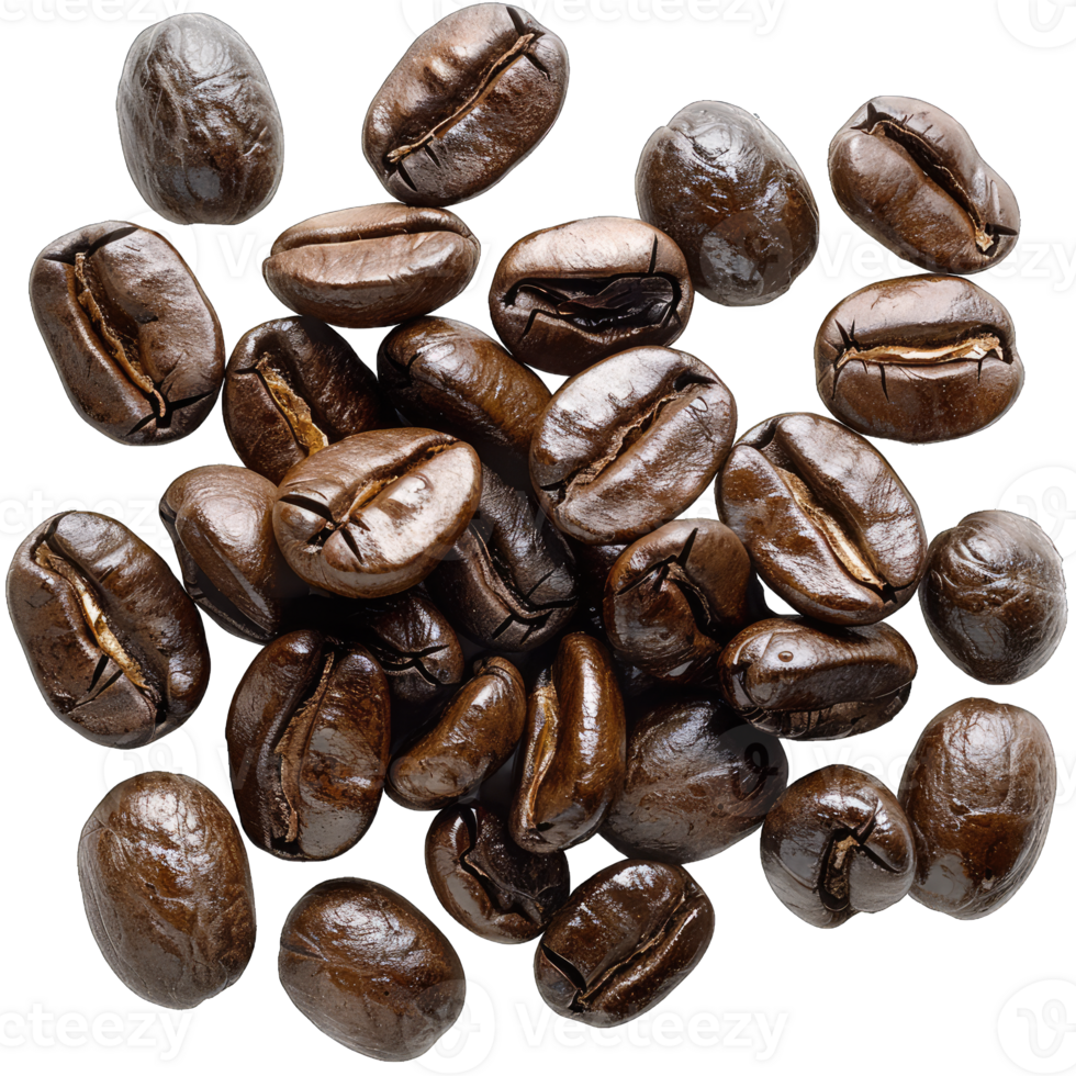 Coffee beans Isolated png
