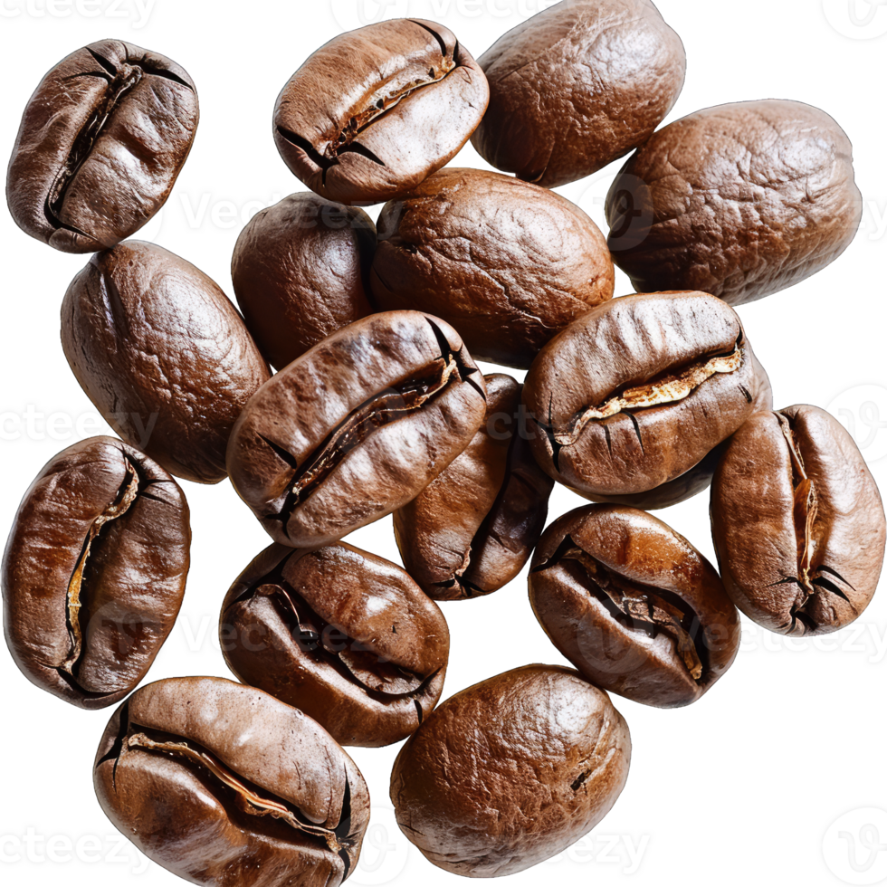 Coffee beans Isolated png