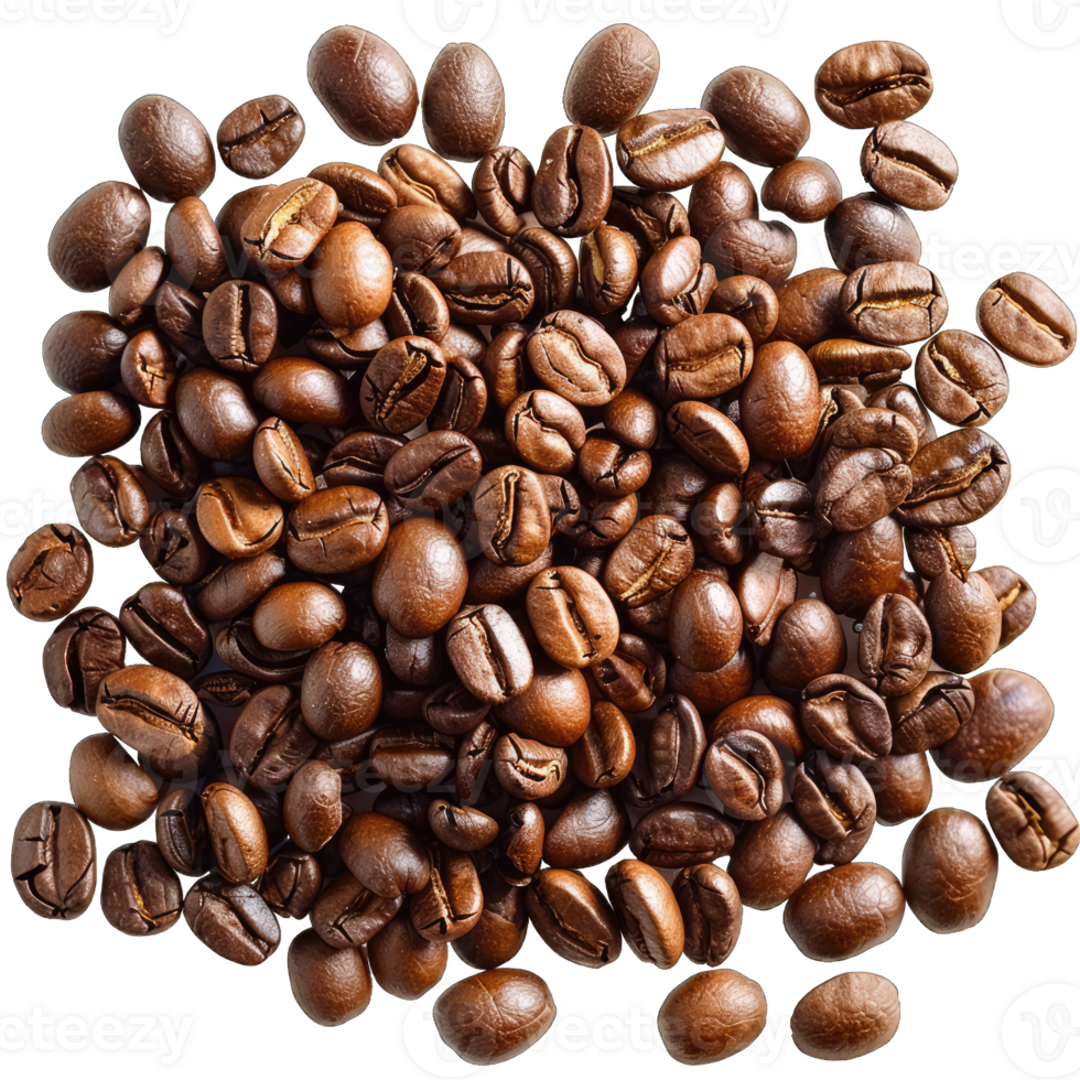 Coffee beans Isolated png