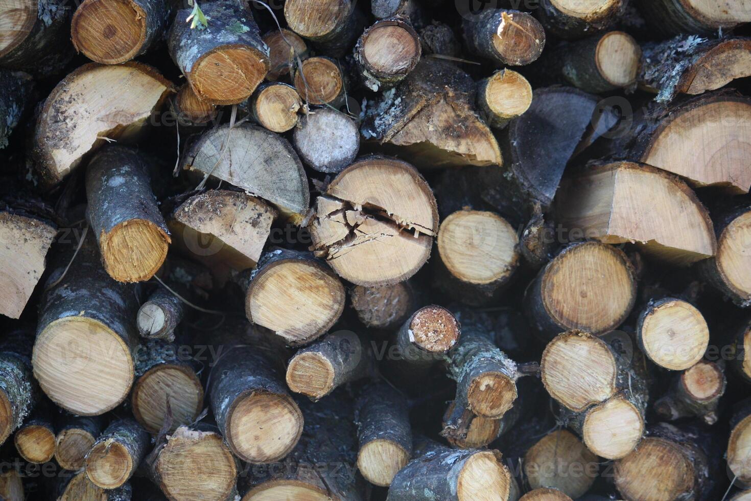 Chopped firewood on a stack photo