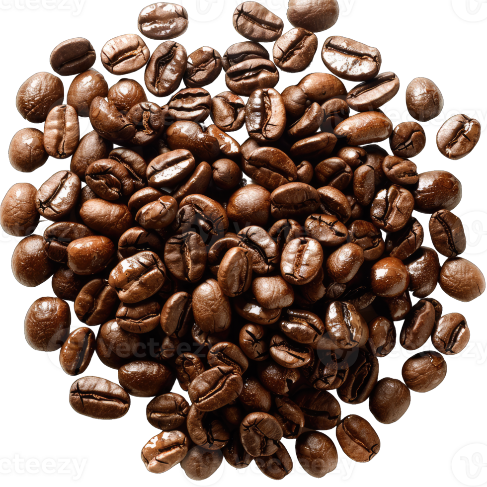 Coffee Beans and grounds isolated png