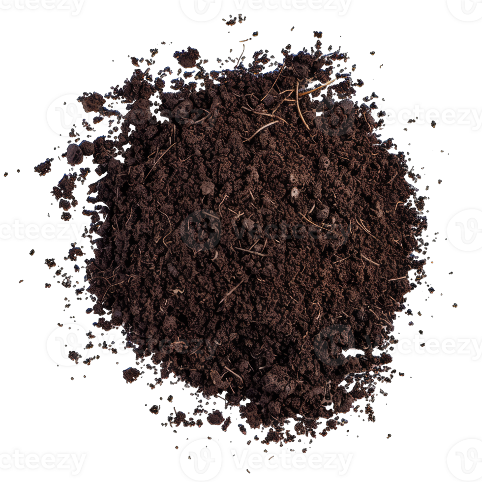 Coffee Beans and grounds isolated png