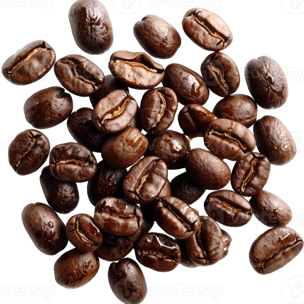 Coffee Beans and grounds isolated png