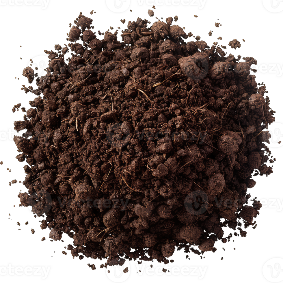 Coffee Beans and grounds isolated png