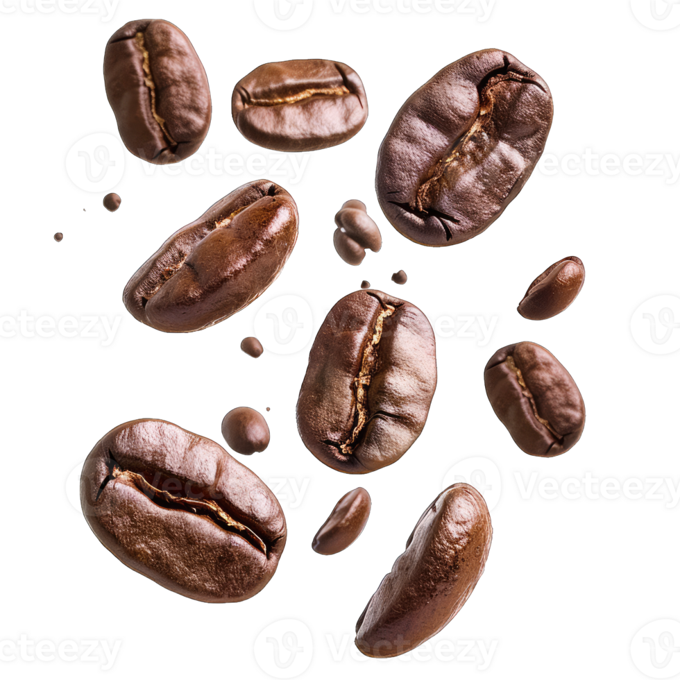 Coffee Beans and grounds isolated png