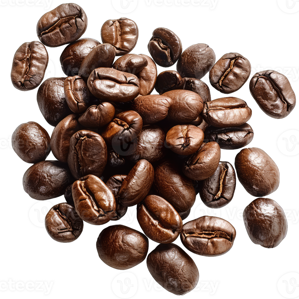 Coffee Beans and grounds isolated png