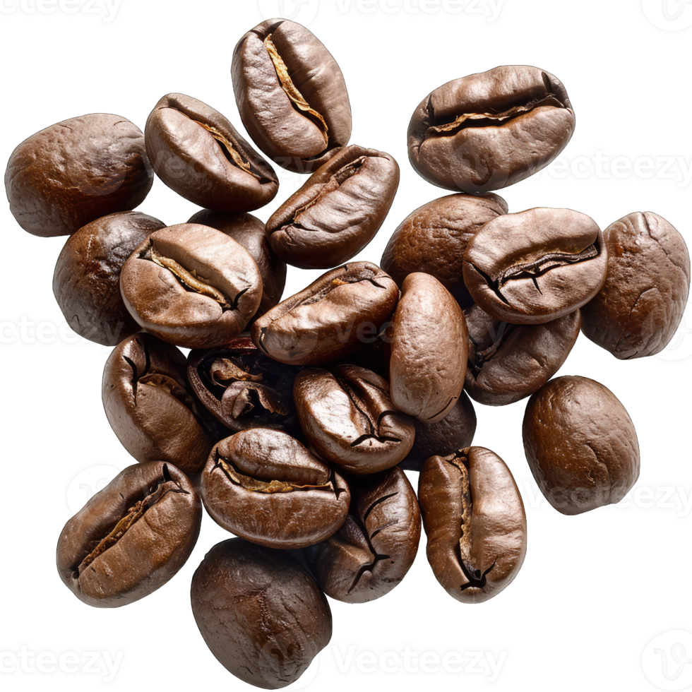 Coffee Beans and grounds isolated png