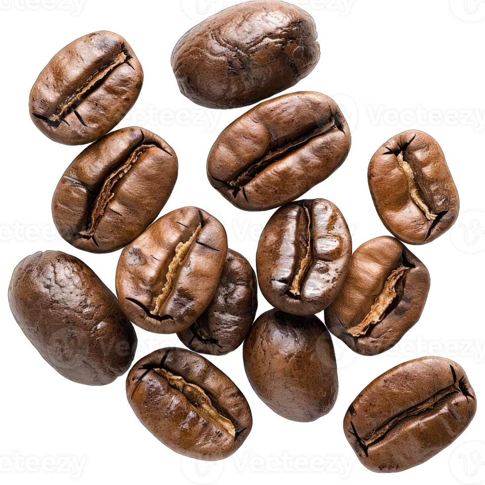 Coffee beans Isolated png