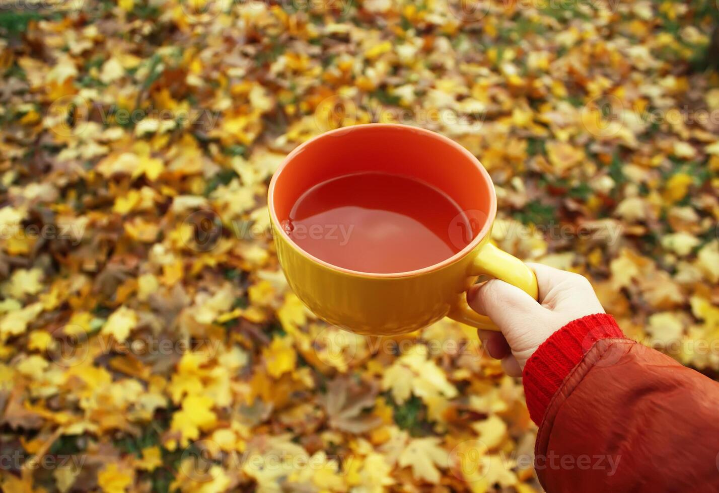 Tea and autumn leaves photo