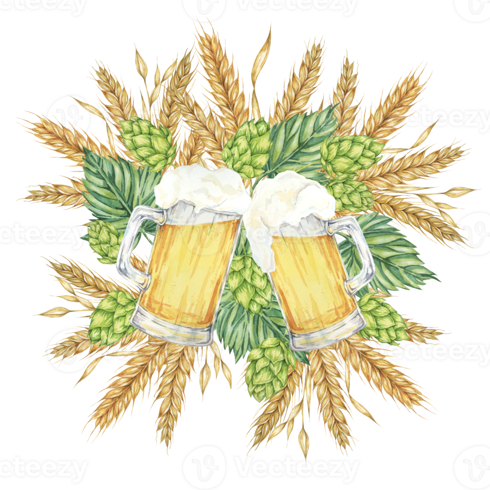 Frothy beer mugs with light lager and barley ears, wheat stalks and green hops around. Cheers or Oktoberfest composition in watercolor. Clipart for festive designs, card, brewery, flyer, coaster png