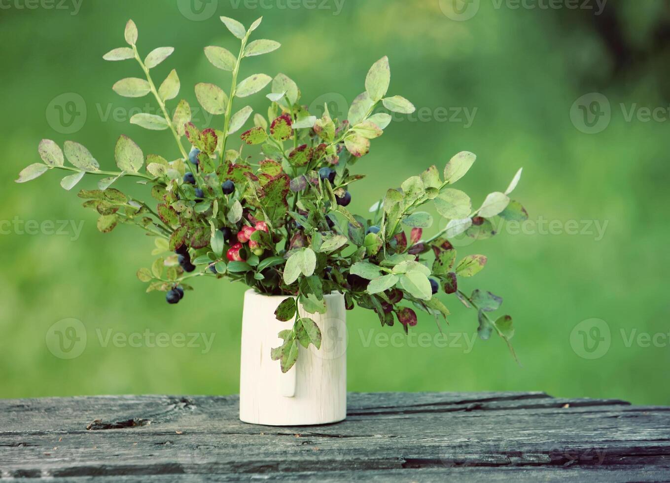 Bouquet of blueberries photo