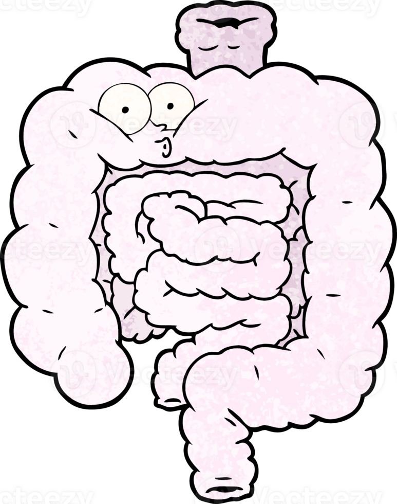 cartoon surprised intestines drawing png