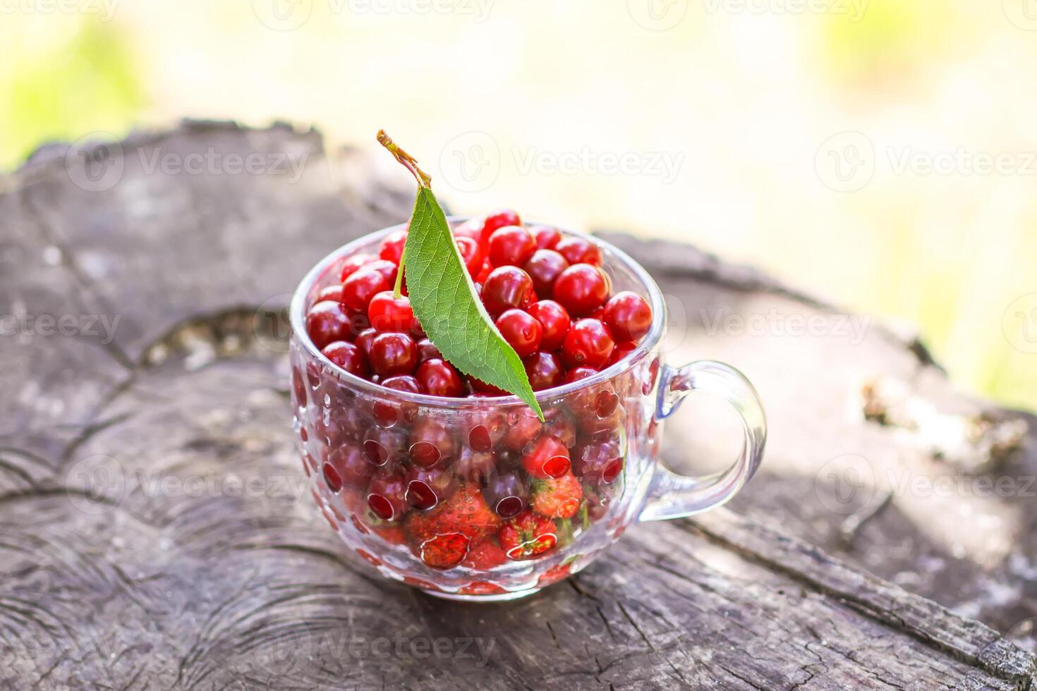 Ripe cherries and strawberries in a transparent cup on tree stump. Fresh red fruits in summer garden. photo