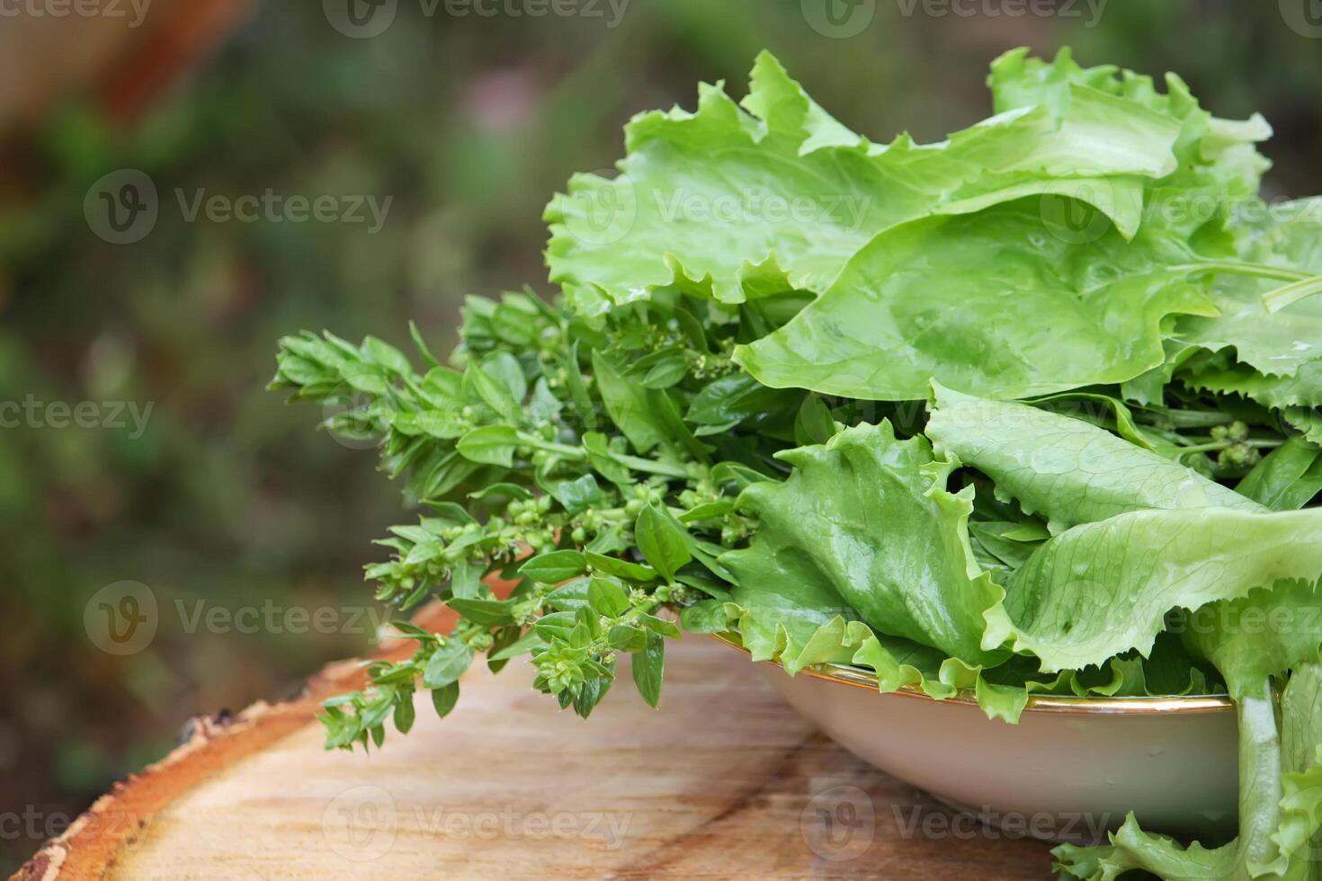 Fresh green salad photo