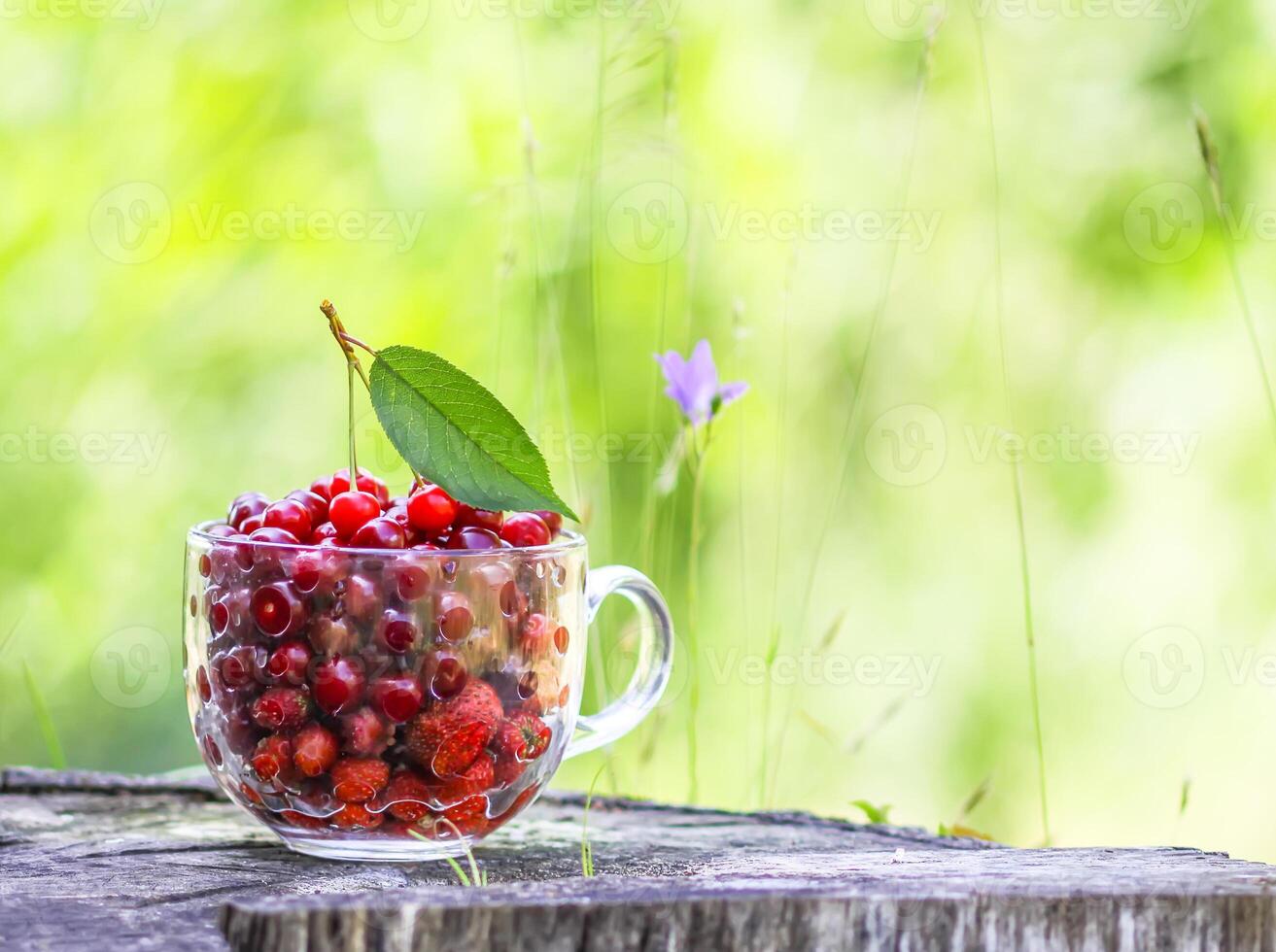 Ripe cherries and strawberries in a transparent cup on tree stump. Fresh red fruits in summer garden. photo