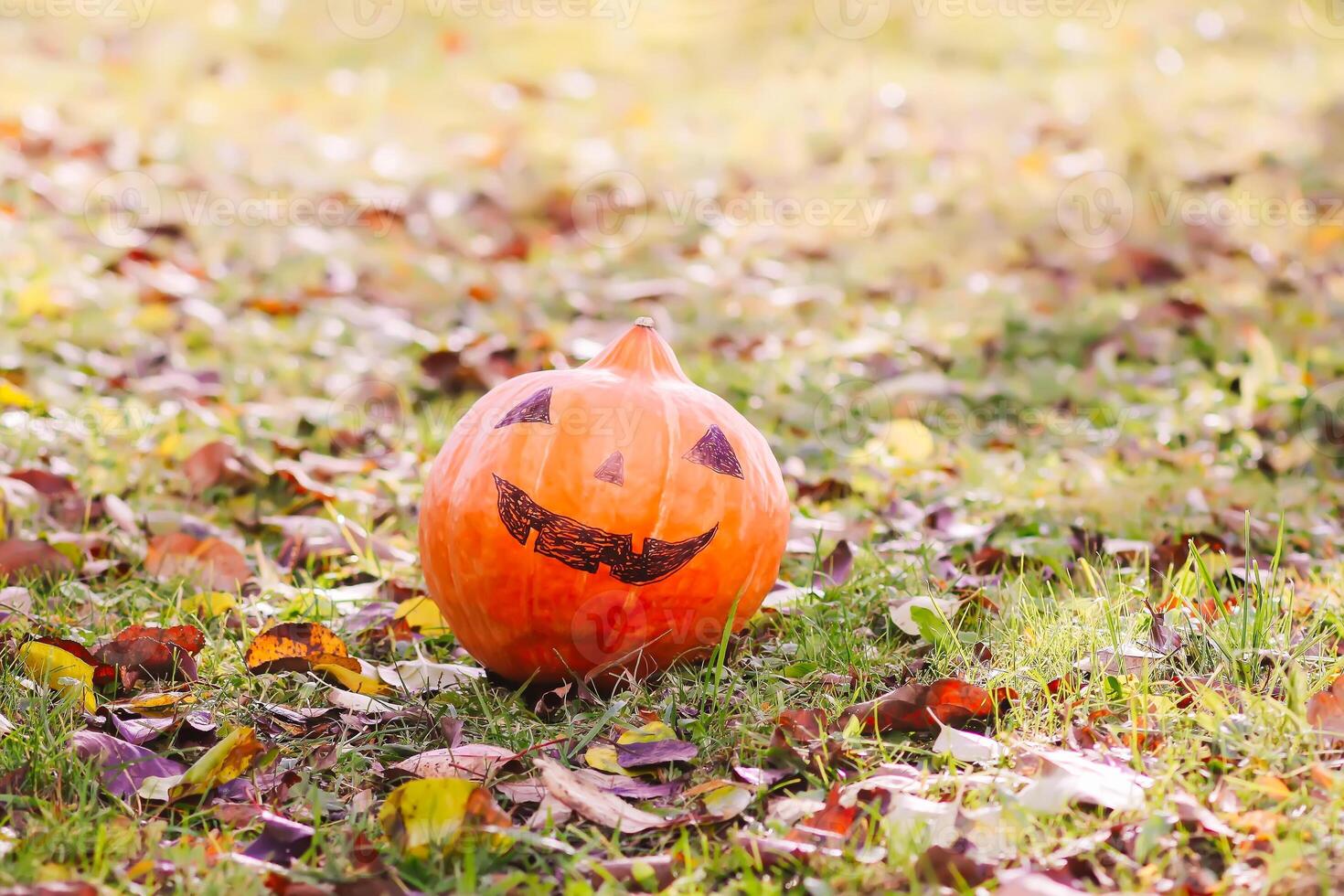Funny Halloween pumpkin in autumn park with fall leaves photo