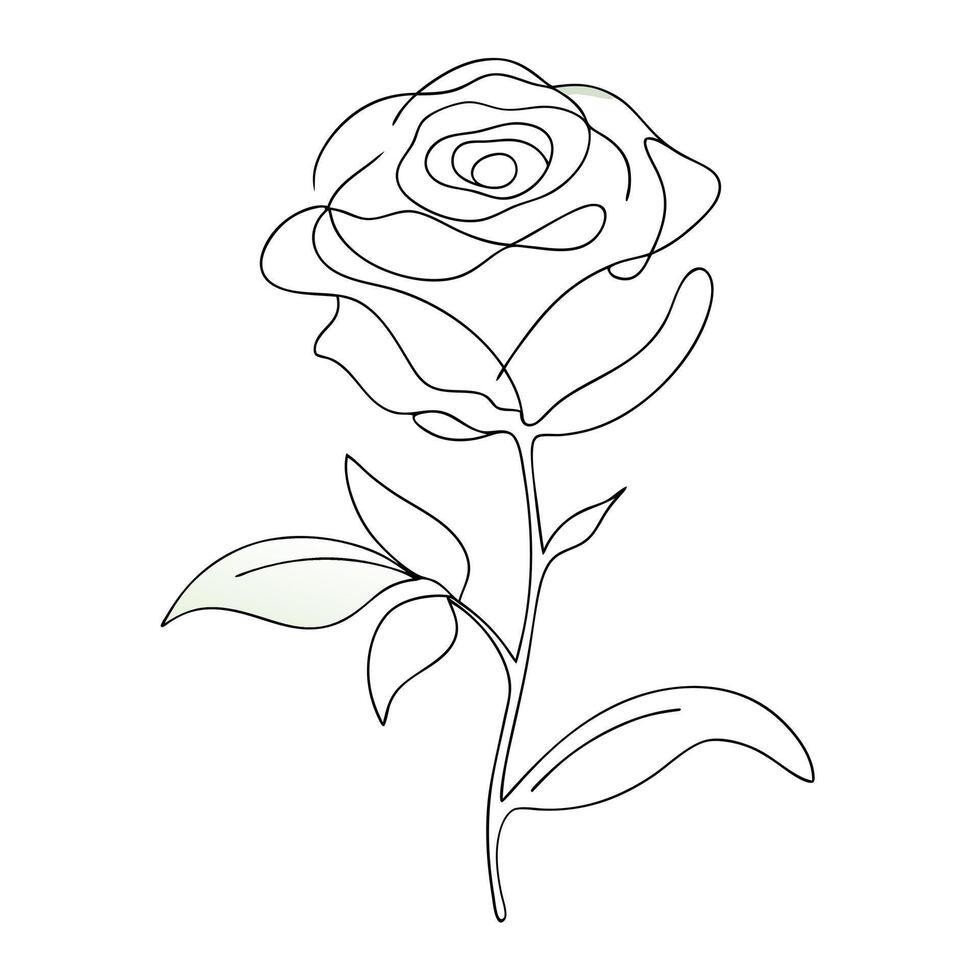 Continuous one line drawing Rose Line art Abstract minimal Beautiful flower vector