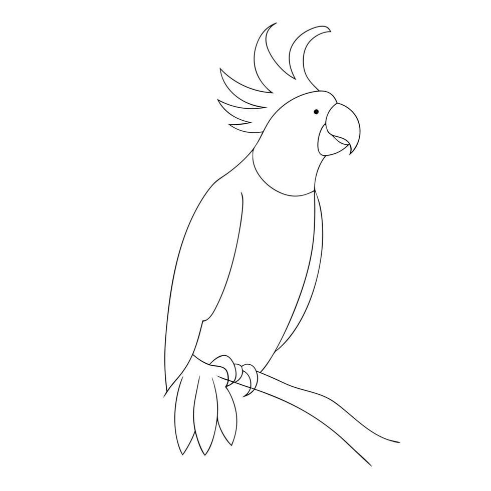 Parrot drawing in continuous one line art sketch vector