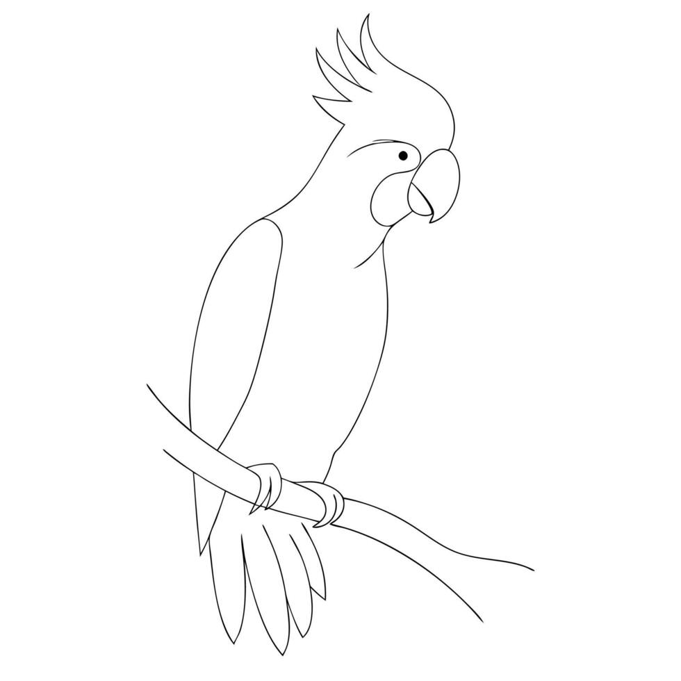 Parrot drawing in continuous one line art sketch vector