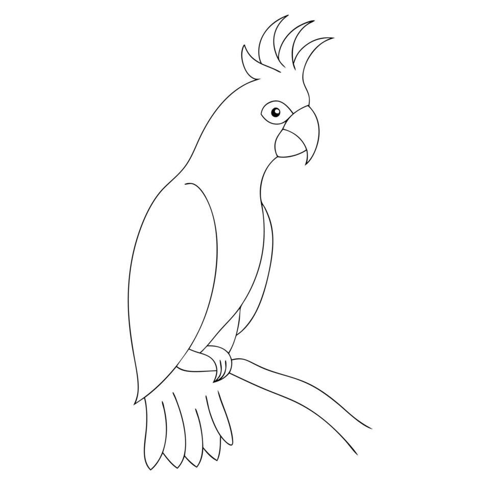 Parrot drawing in continuous one line art sketch vector