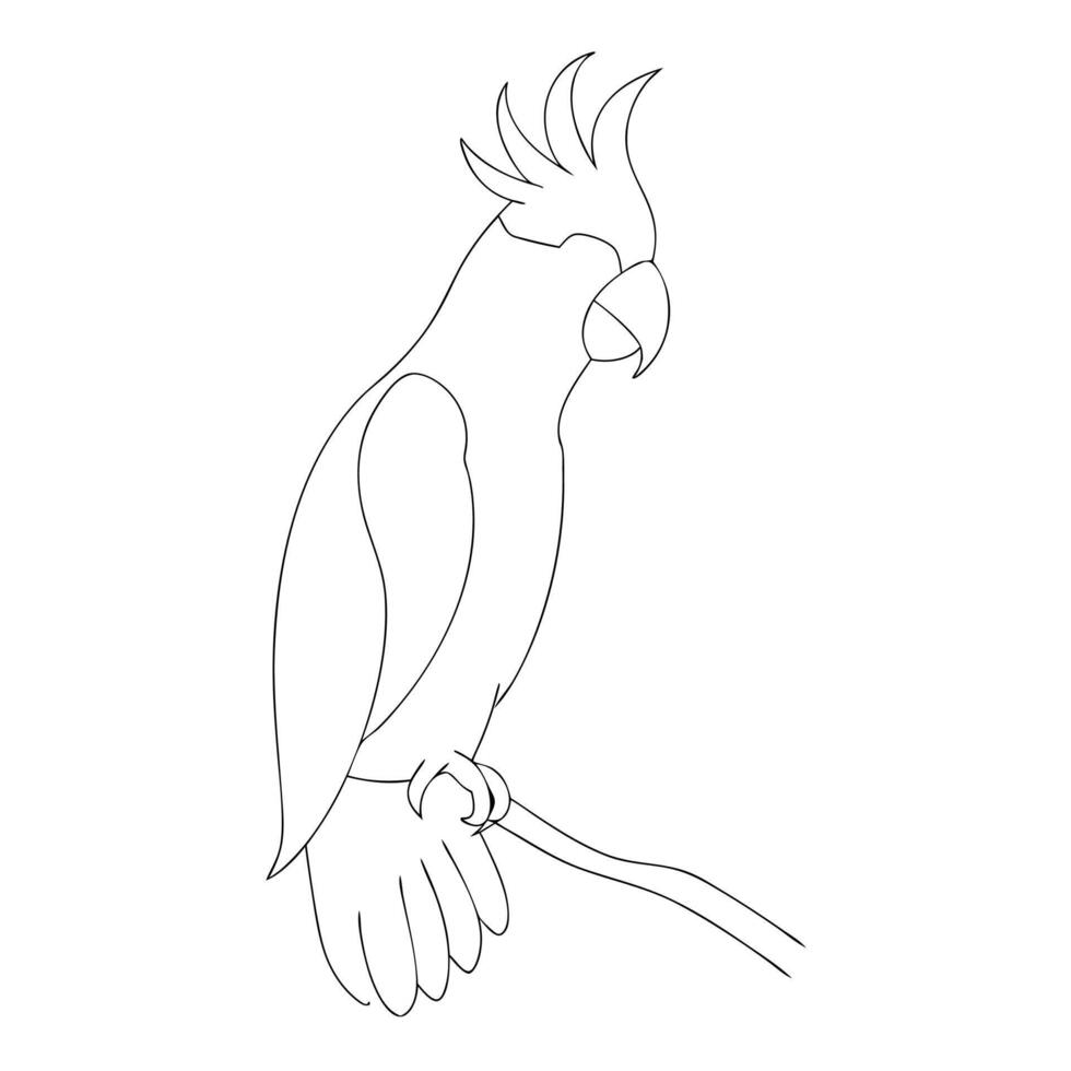 Parrot drawing in continuous one line art sketch vector