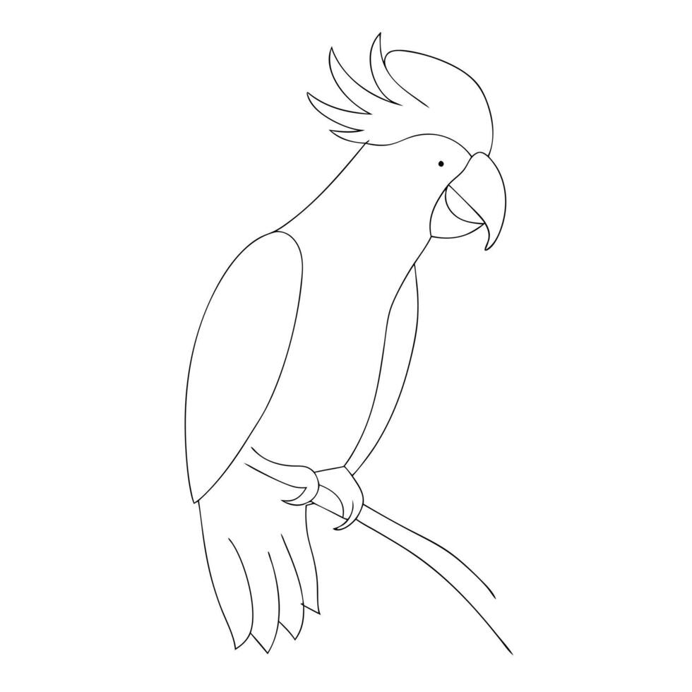 Parrot drawing in continuous one line art sketch vector