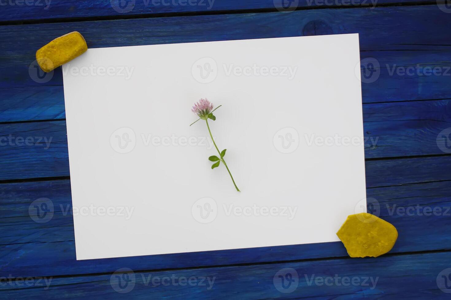 Summer flowers with blank paper for greeting message. Vintage Floral mock up with wild flowers. photo