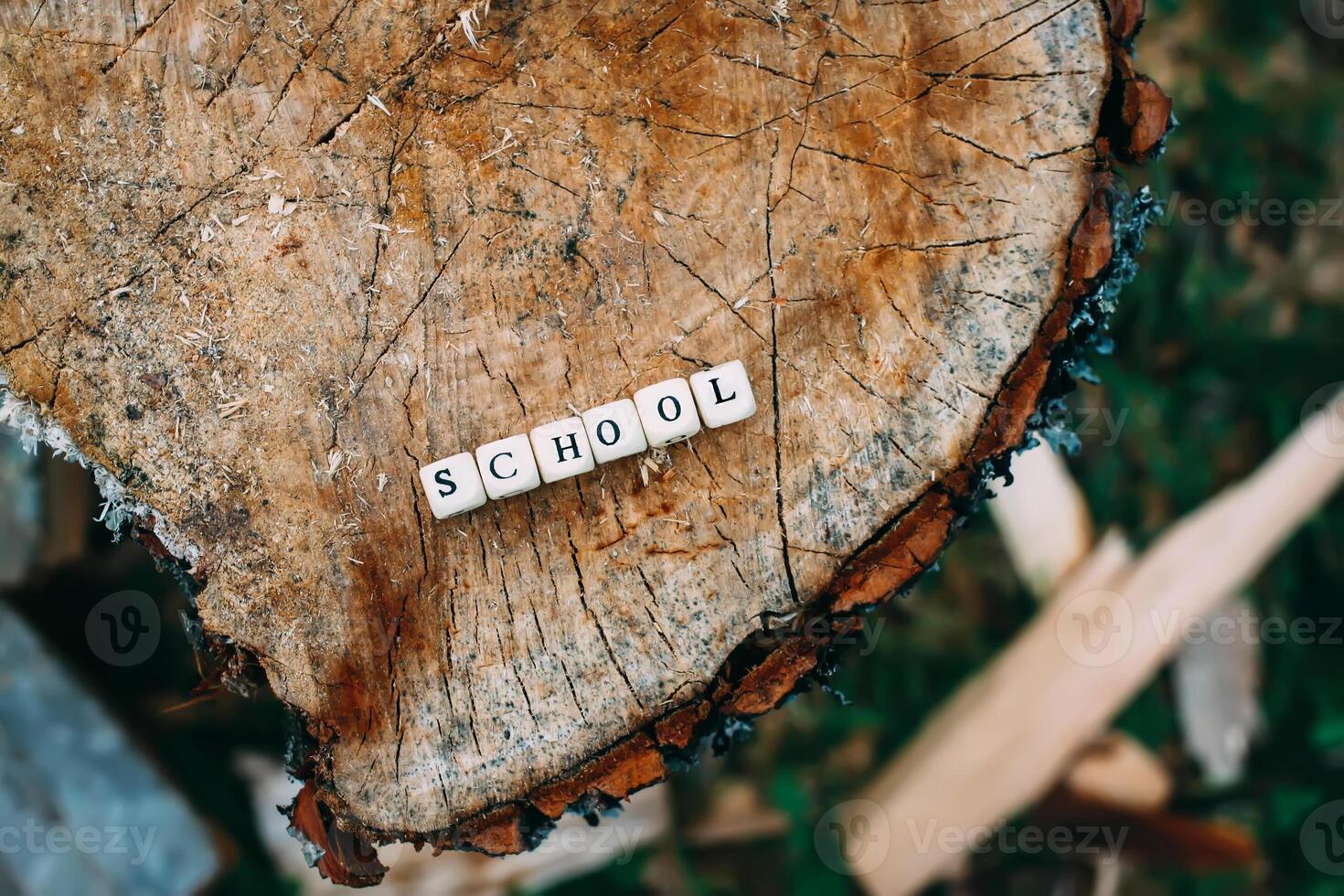 Word school of wooden alphabet beads on a tree stump surface in the forest. photo