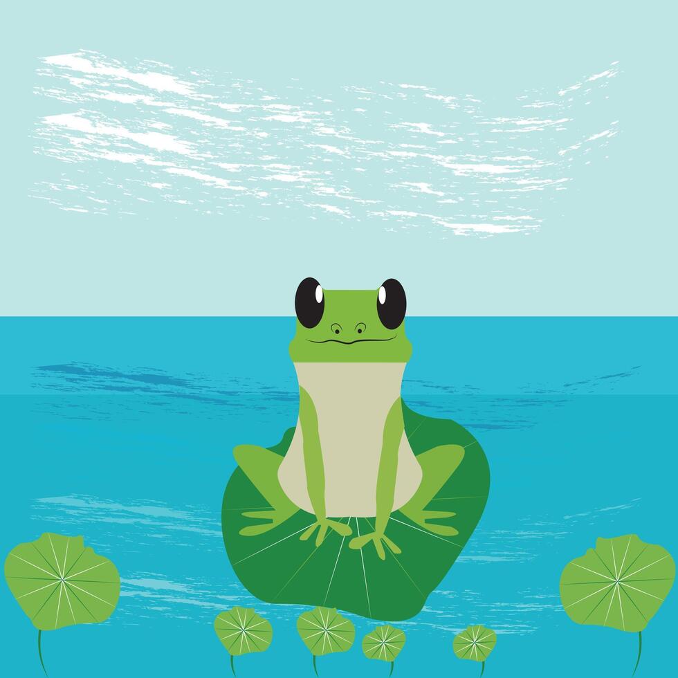 the frog illustration vector